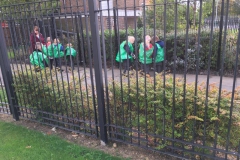 20171010_082200929_iOS