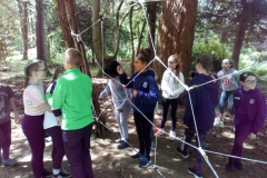 20190603_135947000_iOS