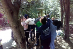 20190603_140253000_iOS