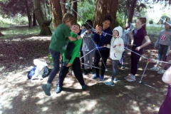 20190603_140504000_iOS