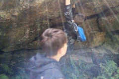 20190603_141719000_iOS