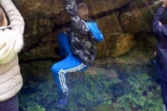 20190603_141724000_iOS