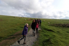 20190603_175306000_iOS