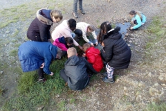 20190603_184155000_iOS