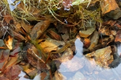 20190603_184350000_iOS