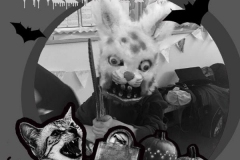 20181031_180536000_iOS