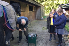 20171002_084736973_iOS