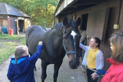 20171002_085708515_iOS