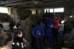 20171002_090317573_iOS