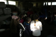 20171002_090527205_iOS