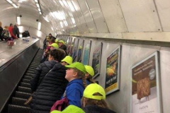 20171116_144959473_iOS