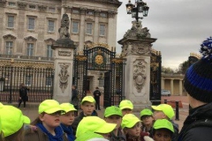 20171116_151317402_iOS