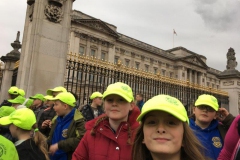 20171116_152222042_iOS