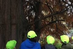 20171116_153359899_iOS