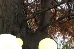 20171116_153414001_iOS