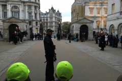 20171116_155631156_iOS