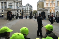 20171116_155649992_iOS