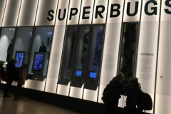 20171117_111921321_iOS