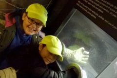 20171117_113013000_iOS