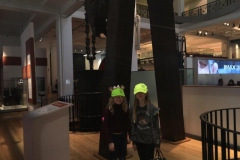 20171117_114354289_iOS