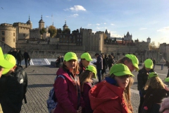 20171117_131429742_iOS