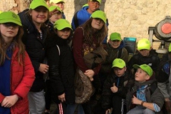 20171117_133125316_iOS