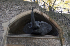 20171117_133535749_iOS