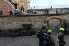 20171117_144925764_iOS