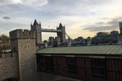 20171117_151333460_iOS