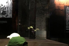 20171117_152012908_iOS