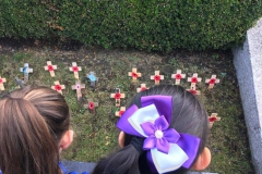 Y5 @ The Cenotaph